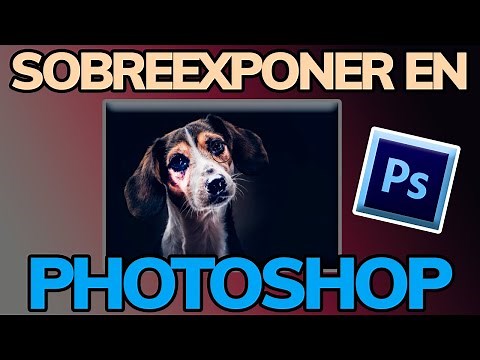 How to Use the Dodge Tool in Photoshop (Quick and Easy)