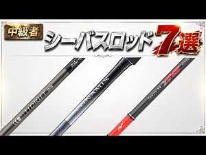 7 Recommended Seabass Rods for Intermediate Anglers (2026)