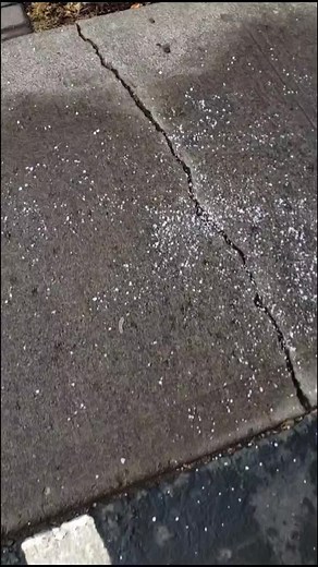 the Last Blockbuster on TikTok