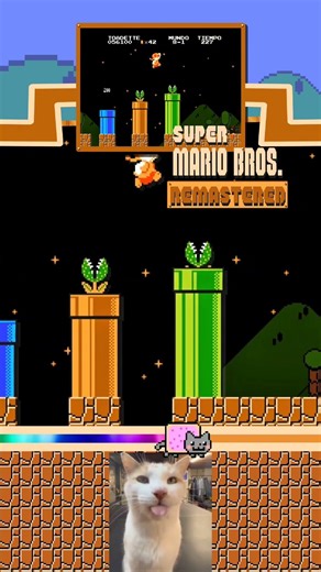 【SMB1】Speedrun W8-1 - Super Mario Bros 1 Remastered