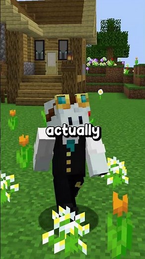 whats the best? #minecraft