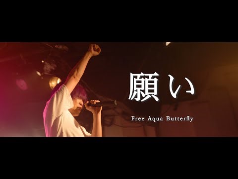 願い - Free Aqua Butterfly（4K Live Video）