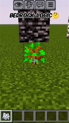 Minecraft Bedrock Logic #minecraft ##shorts