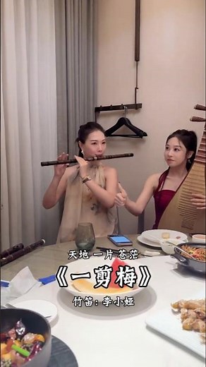 合奏 一剪梅 A Spray of Plum Blossom One of China's most iconic melodies #经典老歌 #费玉清