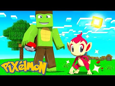 A NEW PIXELMON ADVENTURE #1