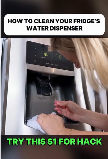How to Clean Your Fridge Water Dispenser (Easy Guide)