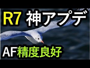 EOS R7 神アップデート、テスト。