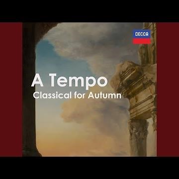 Brahms: 21 Hungarian Dances, WoO 1 - Transcription Joseph Joachim: No. 5 in G Minor