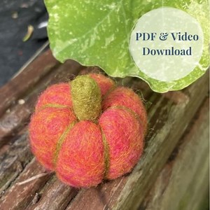 Needle Felted Pumpkin PDF Download and Video Tutorial - Etsy Canada