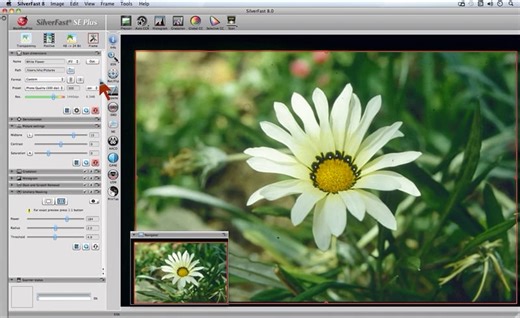 SilverFast SE Plus 8 Scan Dimensions LQ
