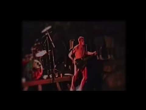 Flea edit #rhcp #edit #flea #redhotchilipeppers 