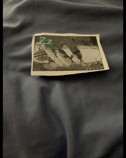 Zoom Theme Song Season 7