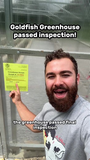 I have no clue what happens if things don’t pass inspection and luckily today I did not have to find out. The goldfish greenhouse is legal! #greenhouse #inspection
