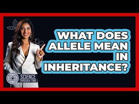 What Does Allele Mean in Inheritance?