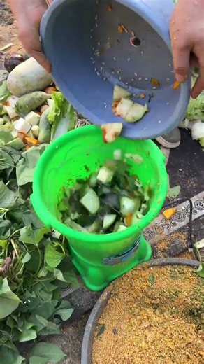 🐓💚 Turn kitchen scraps & greens into perfect poultry feed in seconds ⚡️ #vegetablechopper #shorts