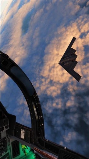 The flying wing | DCS World