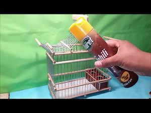 How to create a unique cage // Professional making bird cages