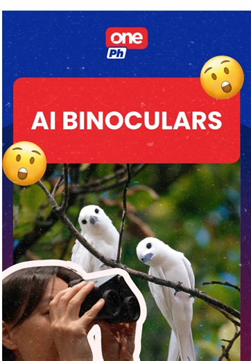 AI BINOCULARS Naimbento ng isang Chinese company ang AI-powered binoculars na kayang tukuyin ang iba’t iban uri ng hayop at halaman. Alamin ang iba pang features nito! | via #MOJO Sofia Baldonado #oneph #socialnewsph #trendingnewsph #newsph