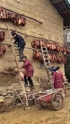They Bury Raw Meat in Soil — The Secret Behind Thailand’s Beautiful Plants!In Thailand, people use raw meat as natural fertilizer! It helps plants grow faster and even produce oranges on tiny trees! 🍊🌱#Thailand #SmartFarming #PlantHacks #NatureFacts #AmazingIdeas #ViralShorts #FertilizerHack #DidYouKnow | Satisfied workers