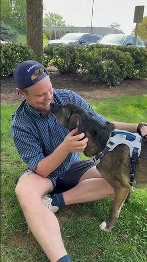 Say goodbye to tug-of-war walks👋The Easy Walk Comfort Harness gently steers without pulling!🐕