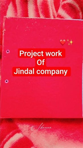 class 12 business Studies project #etp project #jindal company #hindi medium# bst project