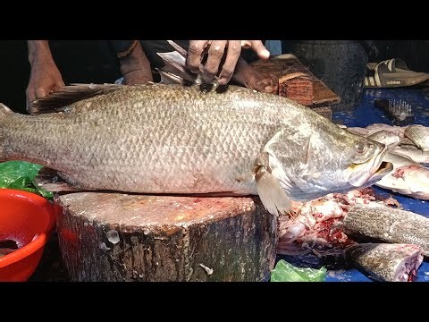 village Fish cutting and cleaning skills