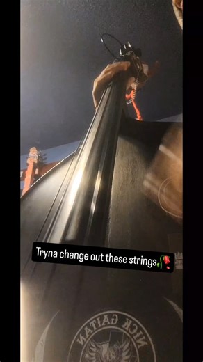 aNgeL🌀 | R there black metal strings😭? . . . . . . . . #slapbass #distortion #tololoche #violin #doublebass houston texas fypage gigs poetry musico... | Instagram