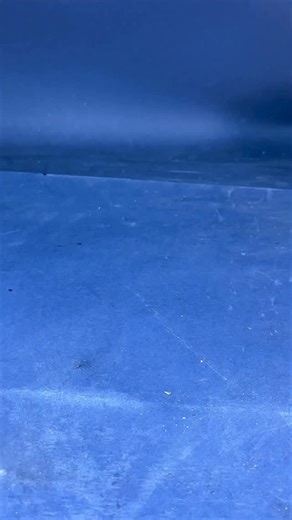 This Simple DIY Rig Turns a Worm Into a Fish Magnet #diyrig #fishinghack #softplastic | Handmade lures Level Up