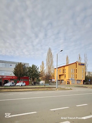 Fabrica de păpuși Arădeanca Arădeanca, prima și cea mai importantă fabrică de jucării din România, și-a început activitatea în anii ’50, pornind din ateliere modeste în care se realizau păpuși, medalii, insigne și cupe sportive. Ulterior, în perioada comunistă, a fost construită o clădire industrială specifică epocii – un corp lung, cu două etaje, care a permis trecerea la o producție de serie. După Jocurile Olimpice din 1976, fabrica a lansat celebrul model de păpușă „Nadia”. Aceasta a devenit 