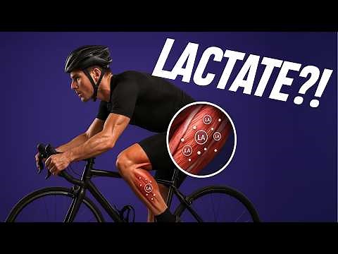 The Truth About Lactate: What Every Cyclist Should Know