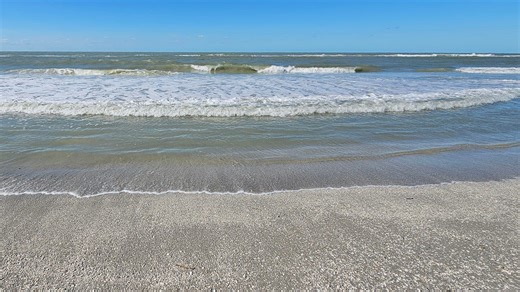 Red tide's impact on Sarasota and Manatee County beaches is up to the wind this weekend