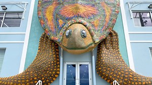 20K views · 872 reactions | Meet Tank!  He's the newest, and largest edition to the #SPIturtletrail. You can see him towering above north Padre Blvd. Even though Tank is massive, he's not lacking attention to detail. Make sure you stop by and see what he looks like at night! #SoPadre | Visit South Padre Island | Facebook