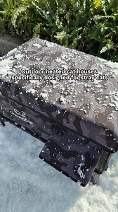 1.6M views · 43K reactions |  Cold winter nights are hard for stray...