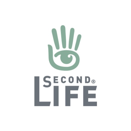"Second Life": What You Need to Know Before Getting Started