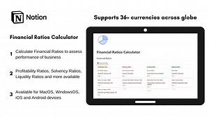 Financial Ratios Calculator
