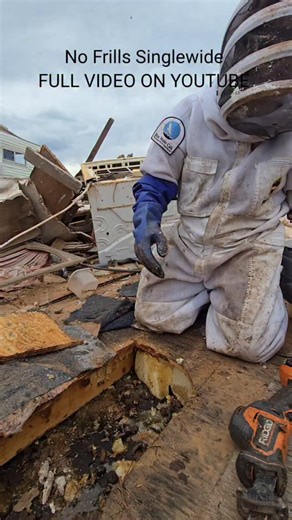 30 new hives #killerbee #honeybee #killerbeeguy #invasivespecies | Killer Bee Guy