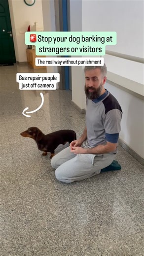 Nicks K9 Training on Instagram: "This is classical counterconditioning in real time 🍖 • The trigger predicts the food Not my voice. Not a marker word. The presence of the gas engineers consistently predicts something good. This is just one tool that lets us rewrite negative predictions that lead to fear-based behaviours and fear as an emotional state. • 🗣️ Why I avoid markers here If your word predicts the treat, you’re conditioning the word, not changing how your dog feels about the trigger i