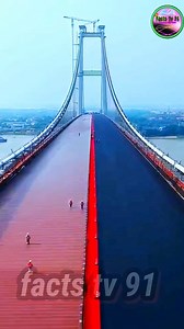 "China's Shuangliu Yangtze River Bridge – a 34.7 km long marvel! Engineering surpasses all limits 🇨🇳😱 #ChinaBridge #YangtzeRiverBridge #EngineeringMiracle #WorldRecordBridge #ChinaInnovation #fblifestyle | facts tv 91