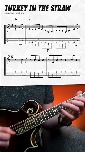 "Turkey in the Straw" Mandolin Lesson #shorts