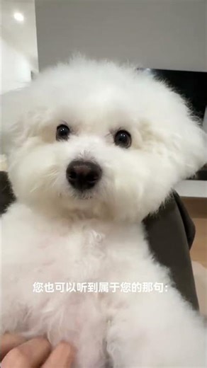 Congratulations on becoming a distinguished polar fleece breeder. It s lit up. Copy source