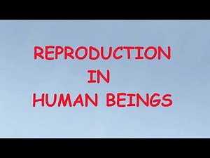 Class 10 | Science | Chapter 7 | How Do Organisms Reproduce? | 7.3.3 Reproduction in Human Beings