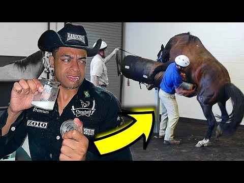 TOMANDO PORR@ DE CAVALO 🐴🤢