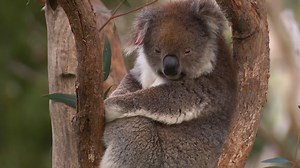 88K views · 6.6K reactions |  We are extremely sad to hear how the...