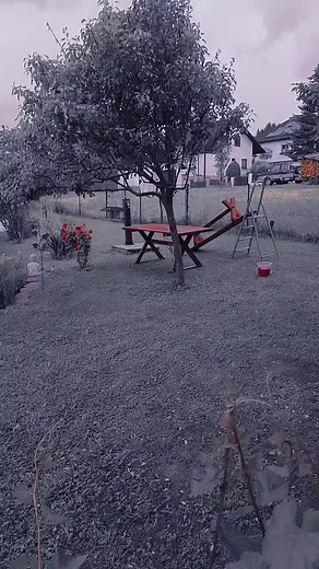 gerhardneunteufel (@gerhardneunteufel)’s videos with Dann kam ein Engel - Amigos