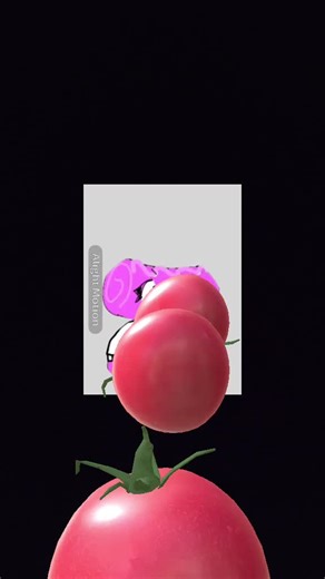 Տᕼᗴᒪᒪ Տᕼᗴᒪᒪ TOI᙭ᑕ (@shellshelltoixc)’s videos with original sound - Տᕼᗴᒪᒪ Տᕼᗴᒪᒪ TOI᙭ᑕ