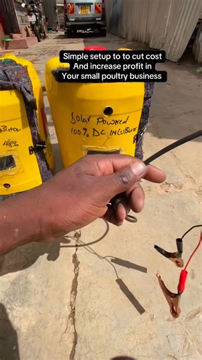 6.5K views · 62 reactions | There are two major ways to do poultry profitably 1. Cutting your feeding costs 2. Doing value addition on eggs by selling them as chicks/chickens rather than than as raw eggs By doing this… you can keep a handful of chickens maybe 30-50 and still make a decent income every month without so much hassle | FarmX | Facebook