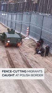 Polish border guards caught migrants illegally crossing the Poland-Belarus border after cutting a gap through the 5.5-metre-high metal fence on March 21. | TRT World