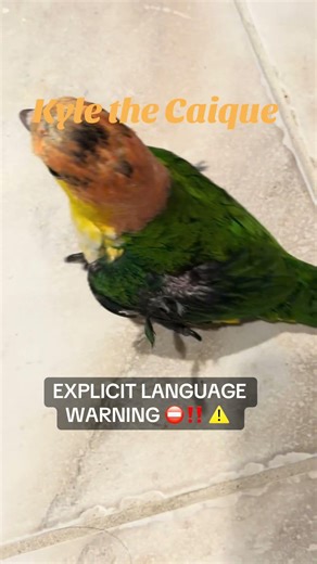 EXPLICIT LANGUAGE WARNING ⚠️