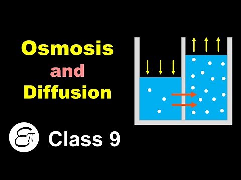 Osmosis and Diffusion || The Fundamental Unit of Life - 3 || for Class 9 in Hindi