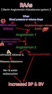 Easy Explanation RAAs Renin Angiotensin Aldosterone system for blood pressure